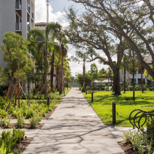 cms_319073f6-c683-47ea-9505-ddc2416549ca-Savio Delray- Exterior Paths