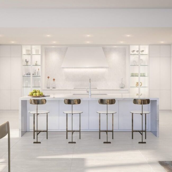 cms_f4804b80-e742-4ac4-95dd-63bf7cdb45d8-Alina Residences - Interior Images - Kitchen (1)